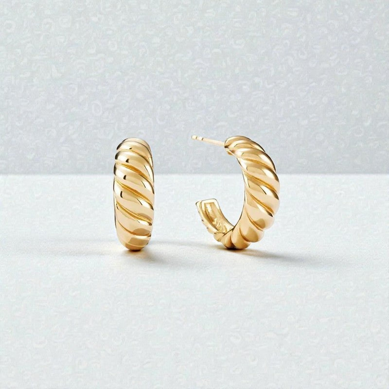 Aliana Twisted Hoop Earrings